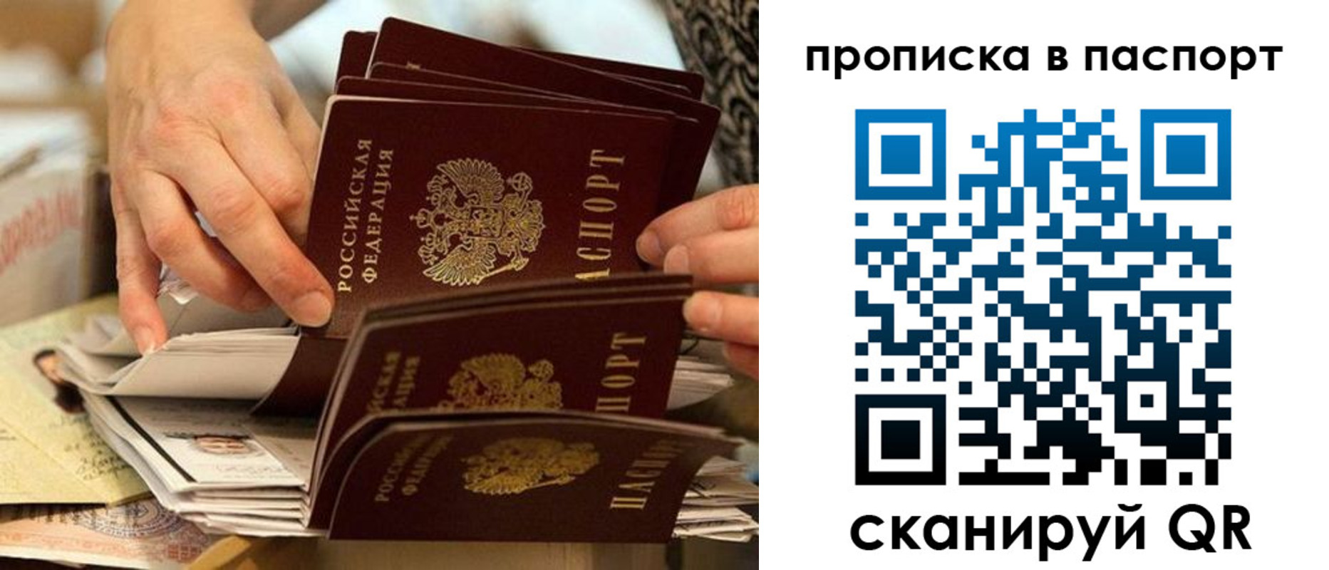 прописка законно в Советске